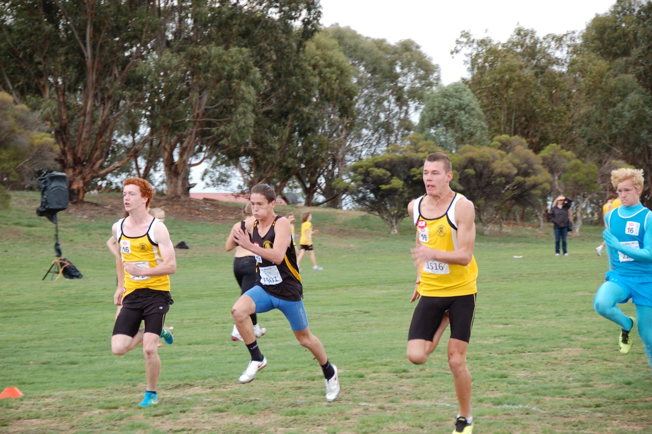 Sprint and running training at Charnwood in Belconnen
