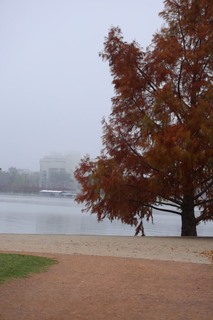FAST Running - Regatta Point
