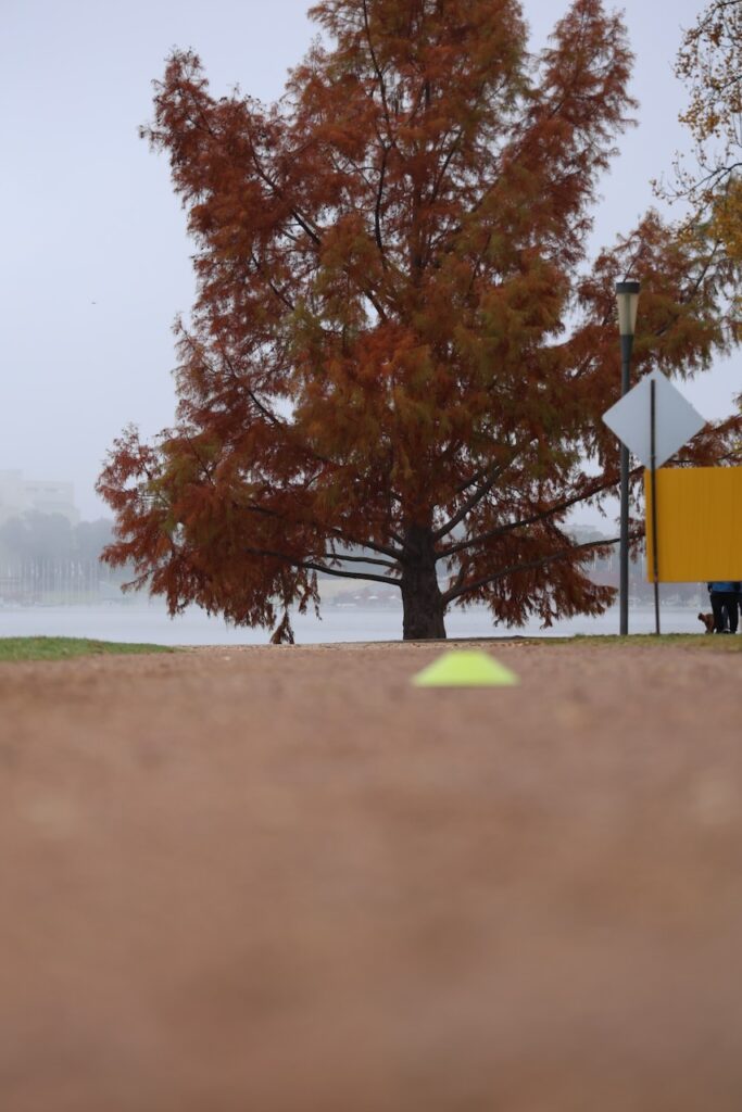 FAST Running - Regatta Point
